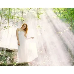 Atmosphere Aerosol Boxes & Special Effects><noscript><img width=