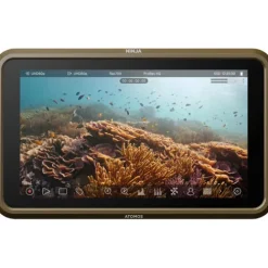 Atomos Video Monitors & Accessories>Ninja 5.2" 4K HDMI Recording Monitor