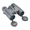 Bushnell Binoculars, Monocular & Range Finders>8x32 Prime Binoculars