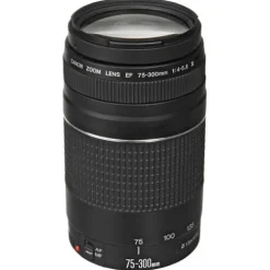 Canon Canon Eos Ef Mount>EF 75-300mm f/4-5.6 III Lens