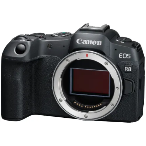 Canon Mirrorless Cameras>EOS R8 - Body Only
