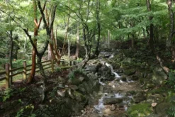 Canon Mirrorless Cameras><noscript><img width=