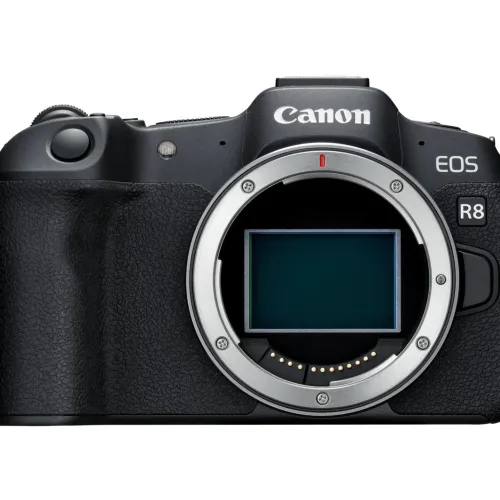 Canon Mirrorless Cameras>EOS R8 + RF 24-50mm f/4.5-6.3 IS STM Lens