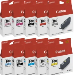 Canon Ink>PFI300 Ink Bundle