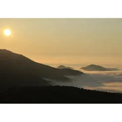 Canon Canon Eos Rf Mount>RF 100-400mm f/5.6-8 IS USM Lens