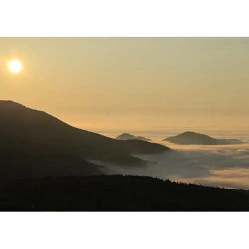 Canon Canon Eos Rf Mount>RF 100-400mm f/5.6-8 IS USM Lens