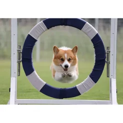 Canon Canon Eos Rf Mount><noscript><img width=