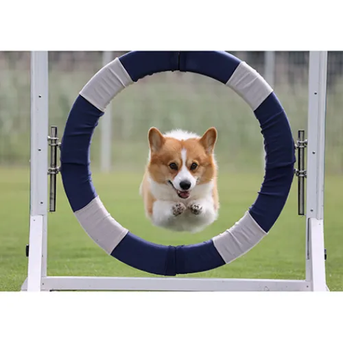 Canon Canon Eos Rf Mount>RF 100-400mm f/5.6-8 IS USM Lens