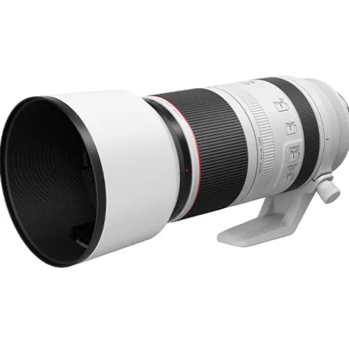 Canon Canon Eos Rf Mount>RF 100-500mm f/4.5-7.1 L IS USM