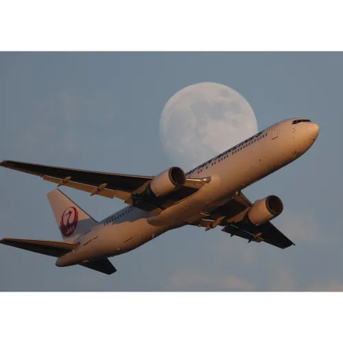 Canon Canon Eos Rf Mount>RF 1200mm f/8 L IS USM Lens