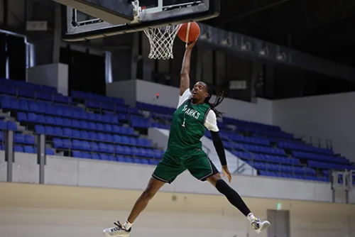 Canon Canon Eos Rf Mount>RF 70-200mm f/2.8L IS USM Z Lens - Black