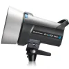 Elinchrom Strobe Lights>D-Lite RX 4 - Head Only with Protection Cap (20847)
