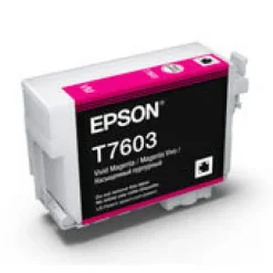 Epson Ink>UltraChrome HD Ink Vivid Magenta for SC-P600