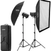 Godox Studio Lighting Kits>DP400III-V Pro Studio Flash with LED Modeling Lamp - 400Ws, 2-Light Kit