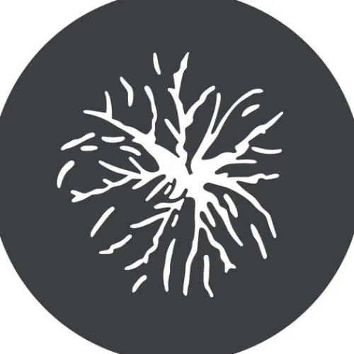 Godox Flash Diffusers & Modifiers>GP-GS2 Gobo Set for MG1200Bi Spotlight Mount