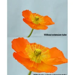 Kenko Canon Eos Ef Mount><noscript><img width=