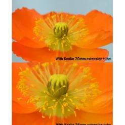 Kenko Canon Eos Ef Mount><noscript><img width=