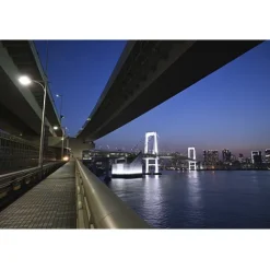 Nikon Nikon Z Mount><noscript><img width=