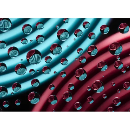 Nikon Nikon Z Mount>Z MC 105mm f/2.8 VR S Micro Lens