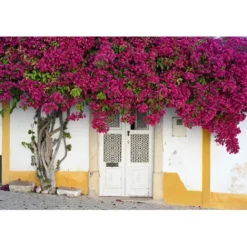 Nikon Nikon Z Mount><noscript><img width=