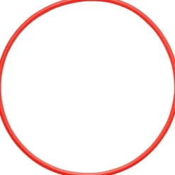 Olympus Underwater Housings>O-Ring for PT-058 Underwater Housing