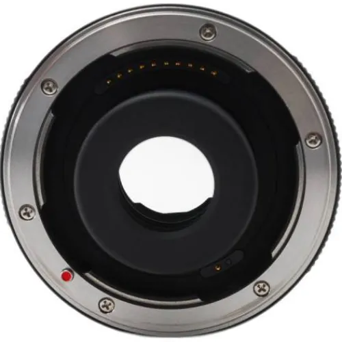 Panasonic L-Mount Alliance Lenses>DMW-STC20 2x Teleconverter