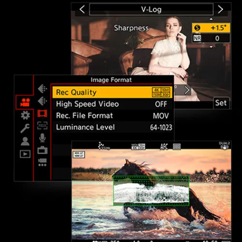 Panasonic Software & Hardware>firmware upgrade for S1 Cameras