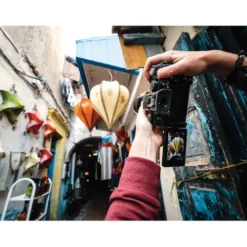 Panasonic Compact Cameras><noscript><img width=