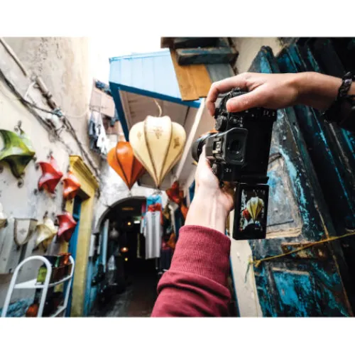 Panasonic Compact Cameras>Lumix G97 with 12-60mm Lens Kit