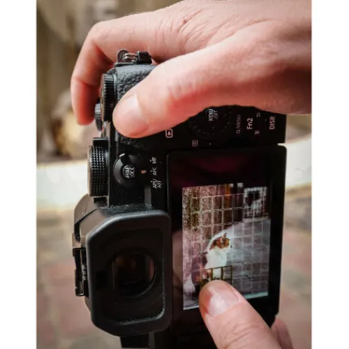 Panasonic Compact Cameras>Lumix G97 with 12-60mm Lens Kit