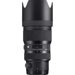 Sigma Nikon F Mount><noscript><img width=