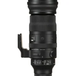 Sigma L-Mount Alliance Lenses><noscript><img width=