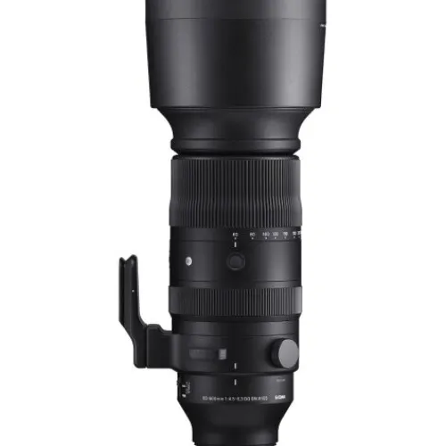 Sigma L-Mount Alliance Lenses>60-600mm f/4.5-6.3 DG DN OS Sports Lens for Leica L
