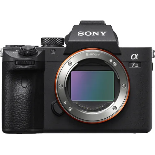 Sony Mirrorless Cameras>A7 III + 24-70mm f/2.8 G Master Lens