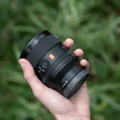 Sony Sony Fe-Mount><noscript><img width=