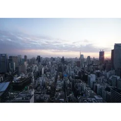 Sony Sony Fe-Mount><noscript><img width=