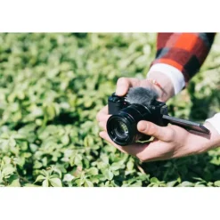 Sony Mirrorless Cameras><noscript><img width=