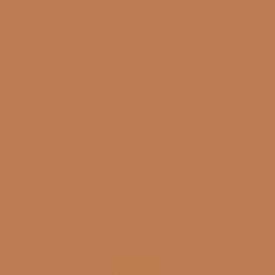 Superior Light Stands, Backgrounds & Mounting>Background 48 - 2.72 x 11m - Spice