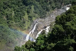 Tamron Nikon Z Mount><noscript><img width=