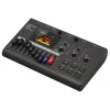 Zoom Audio Recorders & Accessories>R12 Digital Audio Recorder / Interface / Controller